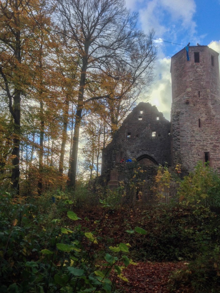 IMG_0078.jpg