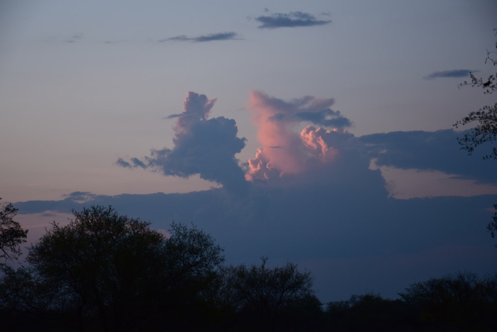 DSC_1160.jpg