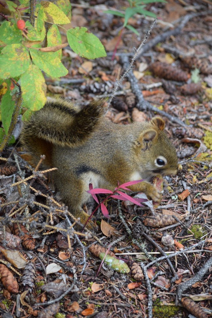 DSC_0401.jpg