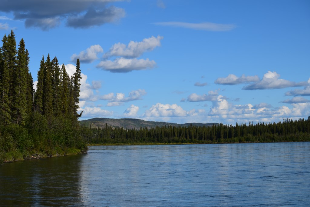 DSC_0443.jpg