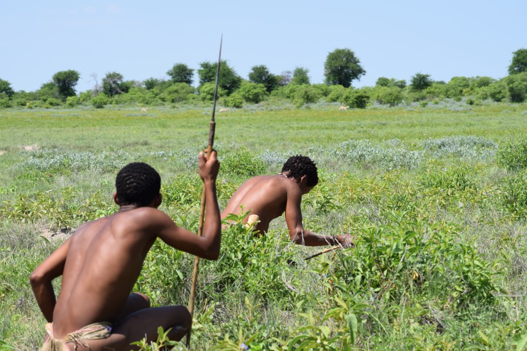 Auf Jagd mit Buschmännern der Kalahari
