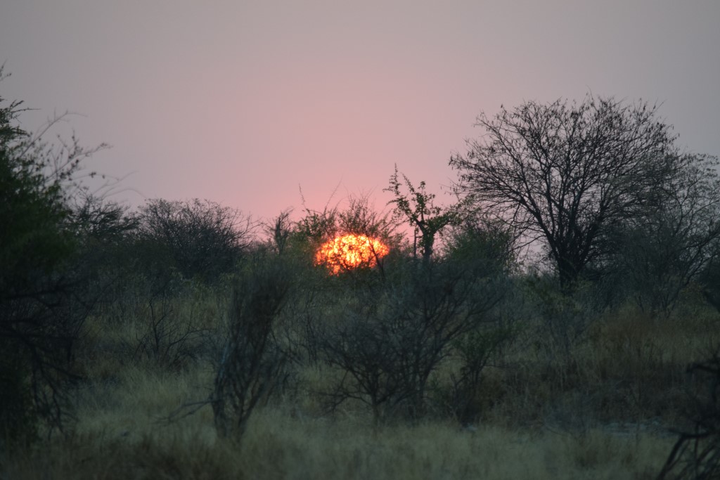 DSC_0305.jpg