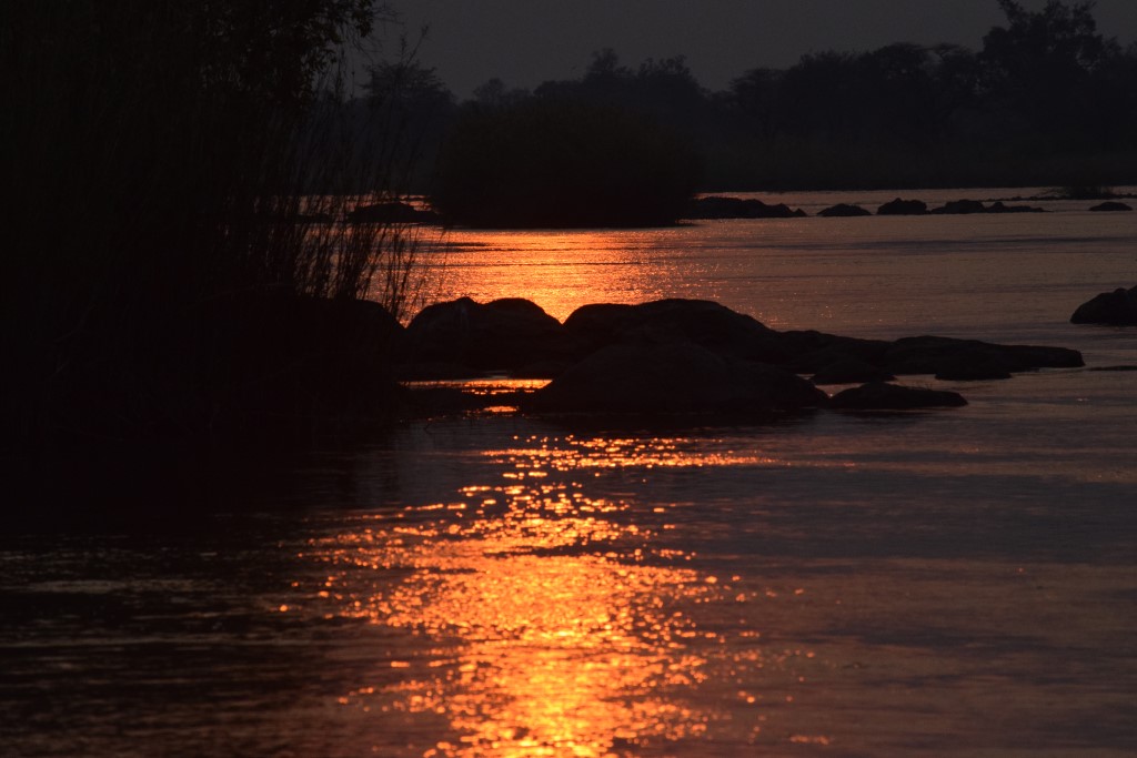 DSC_0402.jpg
