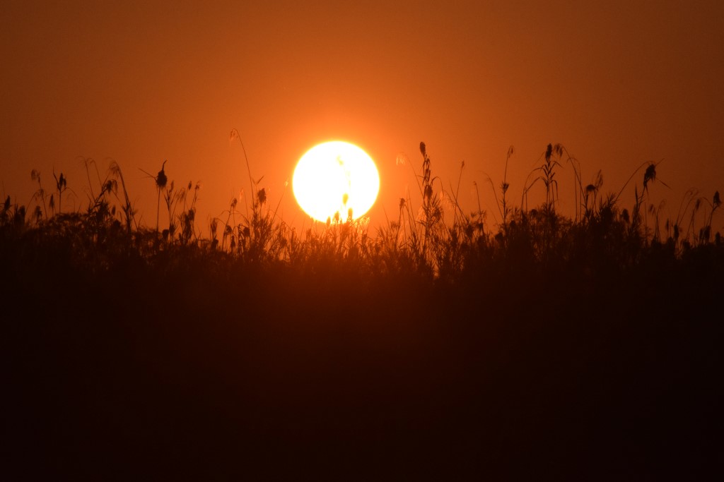 DSC_0794.jpg