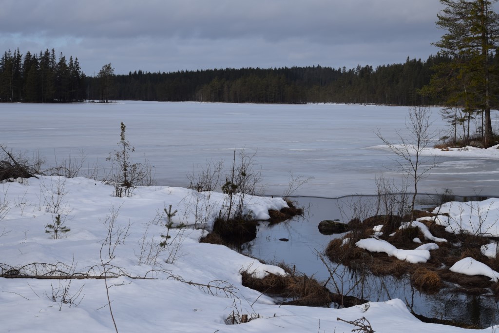 DSC_0285.jpg
