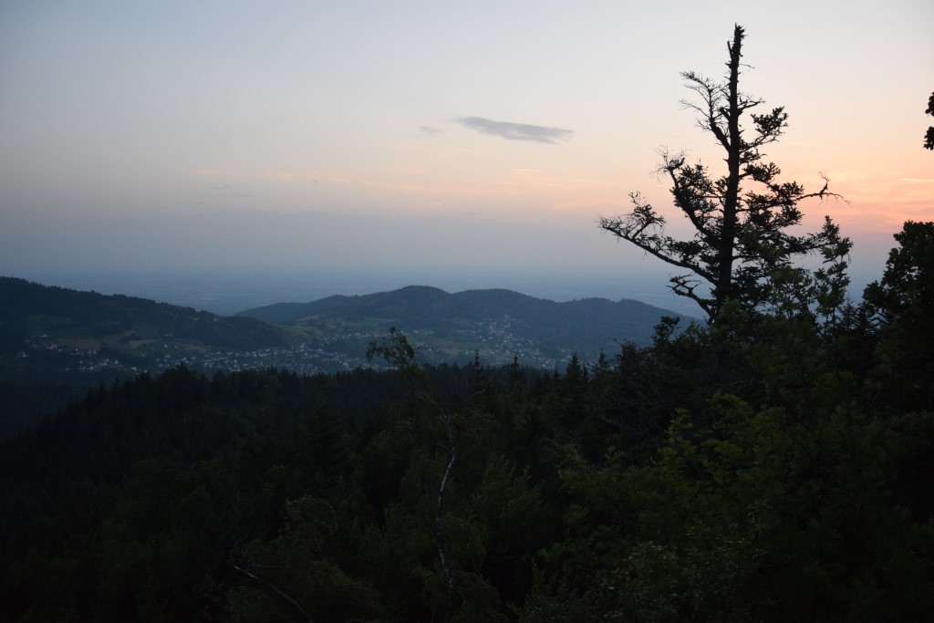 DSC_0525.jpg