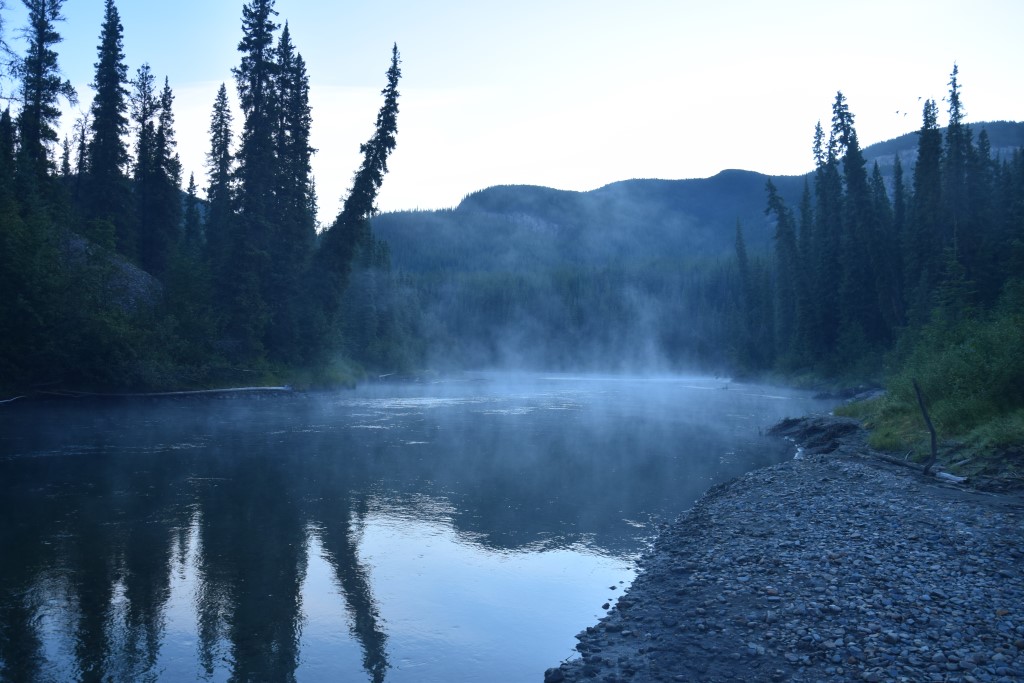 DSC_0299.jpg