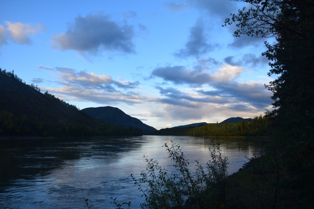 DSC_0481.jpg