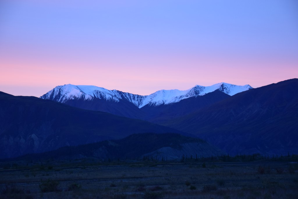 DSC_0895.jpg