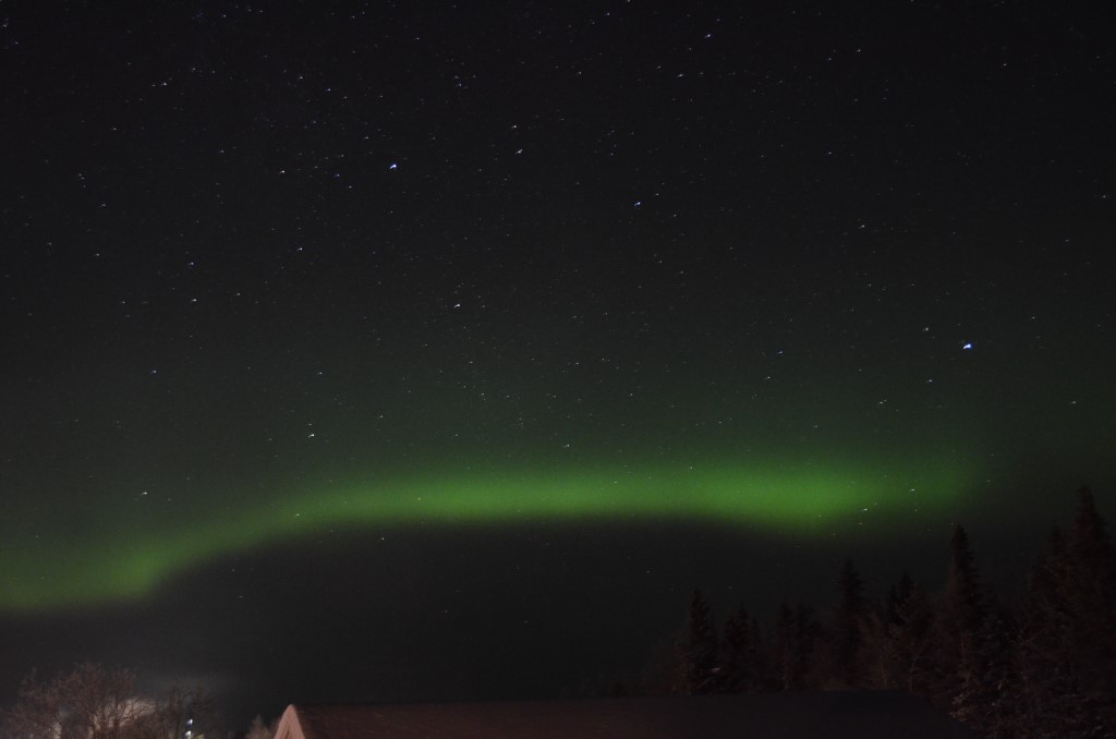 DSC_0124.jpg