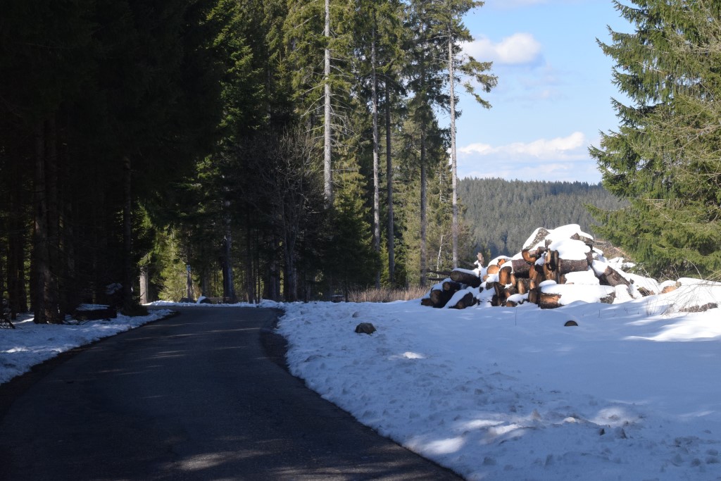 DSC_0065.jpg