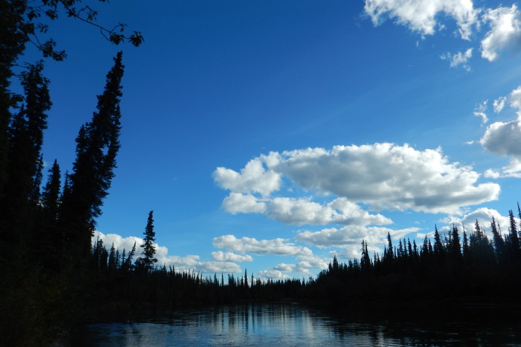 DSC_00247.jpg