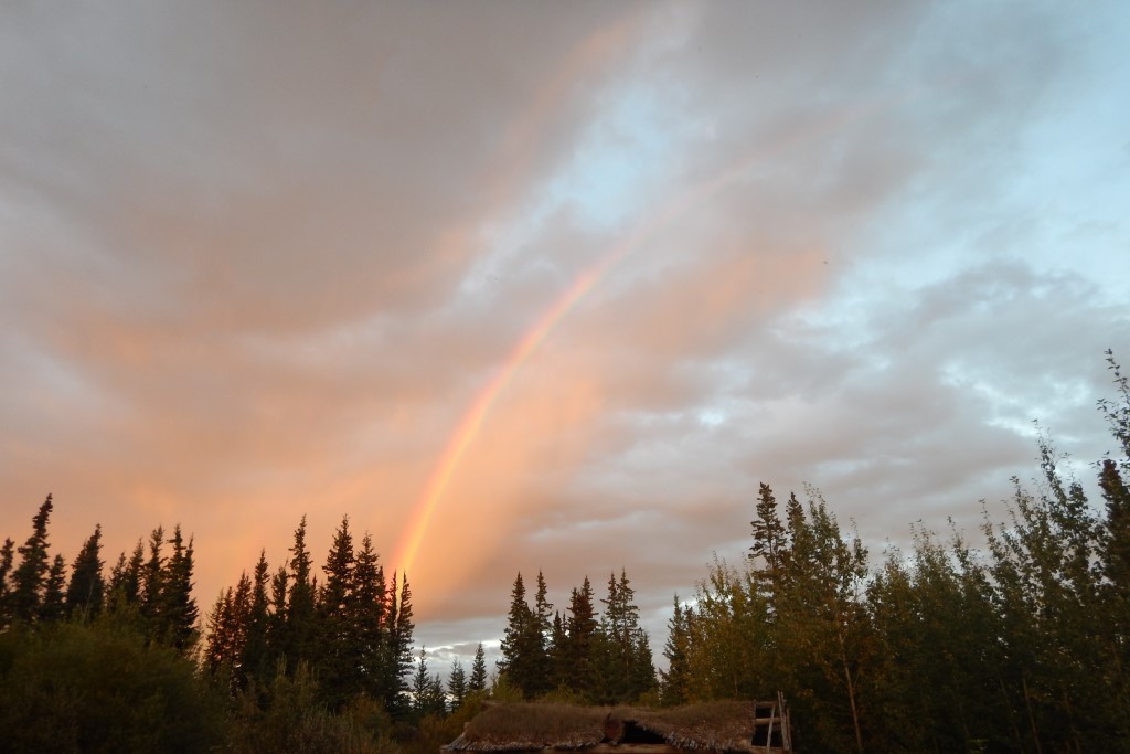 DSC_00270.jpg